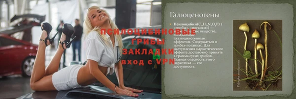 стафф Армянск