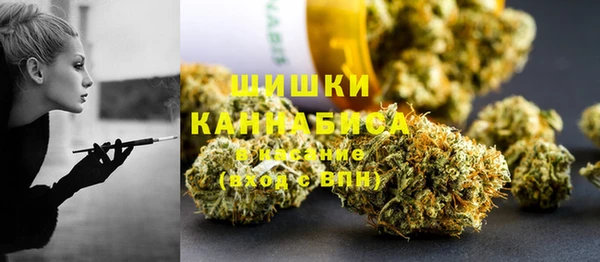 ГАЛЛЮЦИНОГЕННЫЕ ГРИБЫ Аркадак