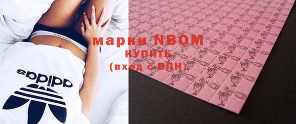 ГАЛЛЮЦИНОГЕННЫЕ ГРИБЫ Аркадак