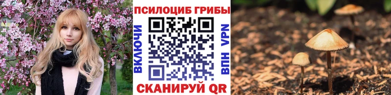 Галлюциногенные грибы ЛСД  магазин    Балтийск 