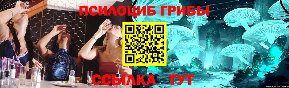 Галлюциногенные грибы Cubensis  Вход с VPN  Балтийск 